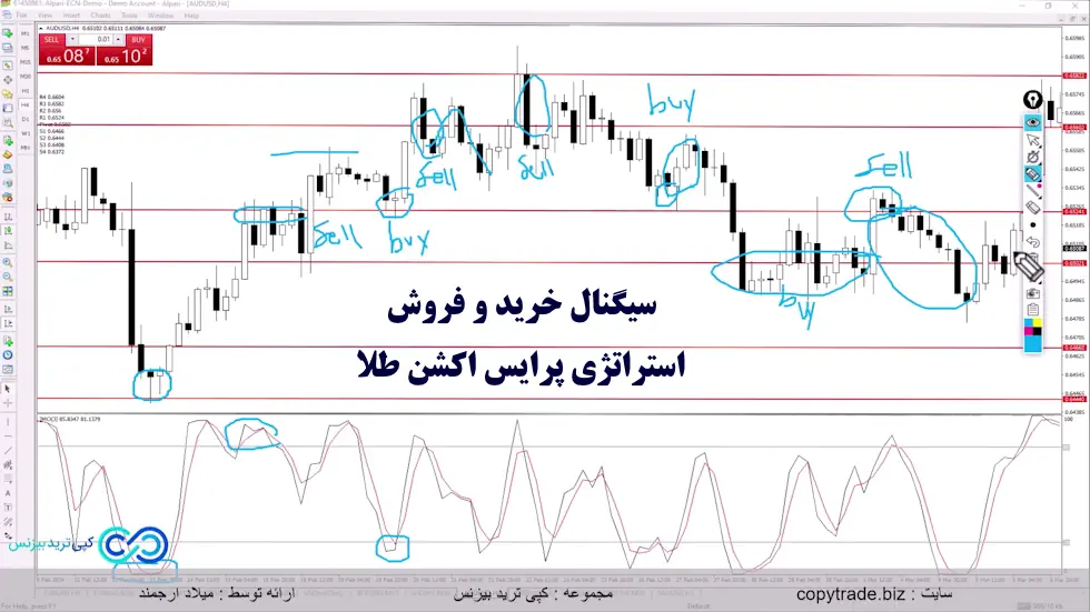 استراتژی پرایس اکشن طلا - آموزش استراتژی پرایس اکشن طلا