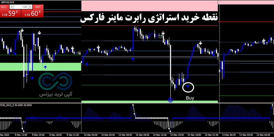 شرایط خرید استراتژی رابرت ماینر فارکس