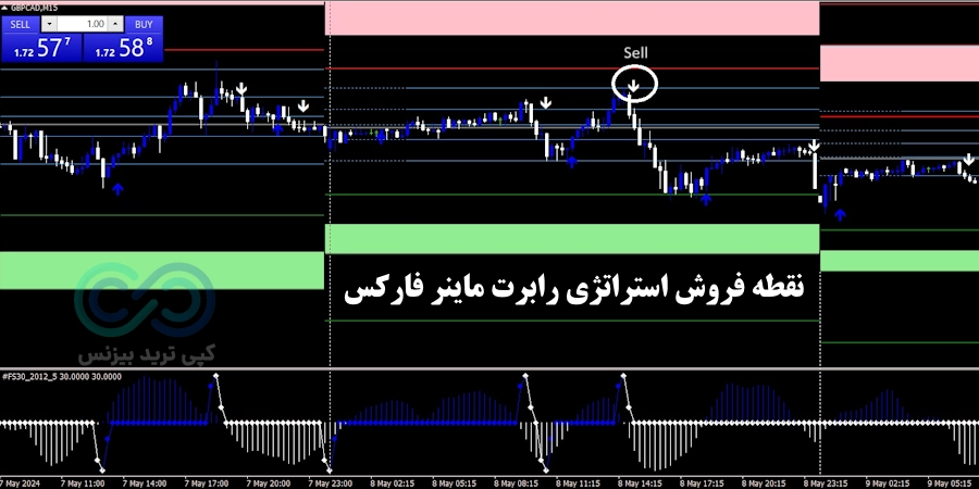 شرایط فروش استراتژی رابرت ماینر فارکس