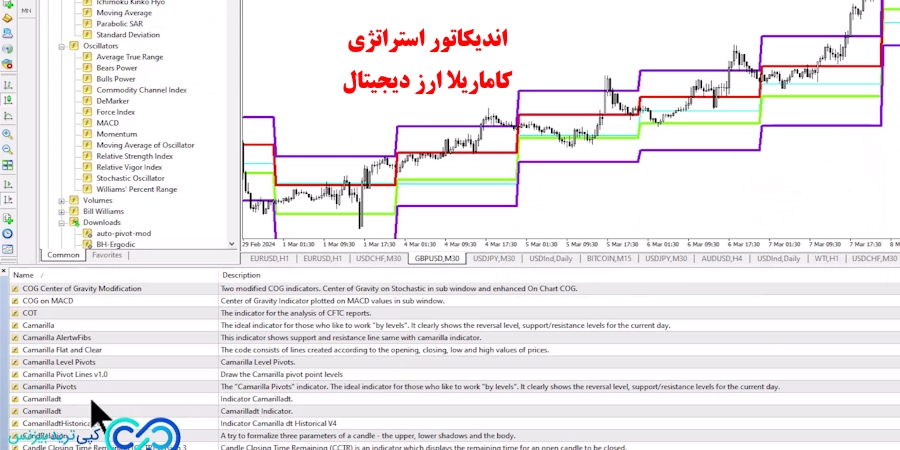 استراتژی کاماریلا ارز دیجیتال