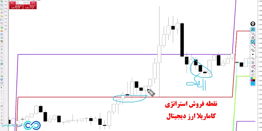 استراتژی کاماریلا ارز دیجیتال