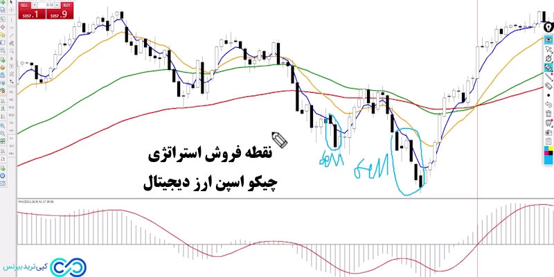 استراتژی چیکو اسپن ارز دیجیتال