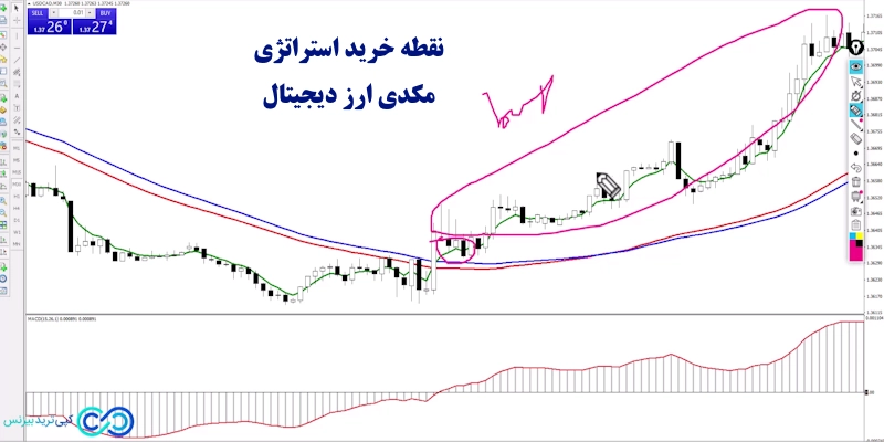 استراتژی مکدی ارز دیجیتال