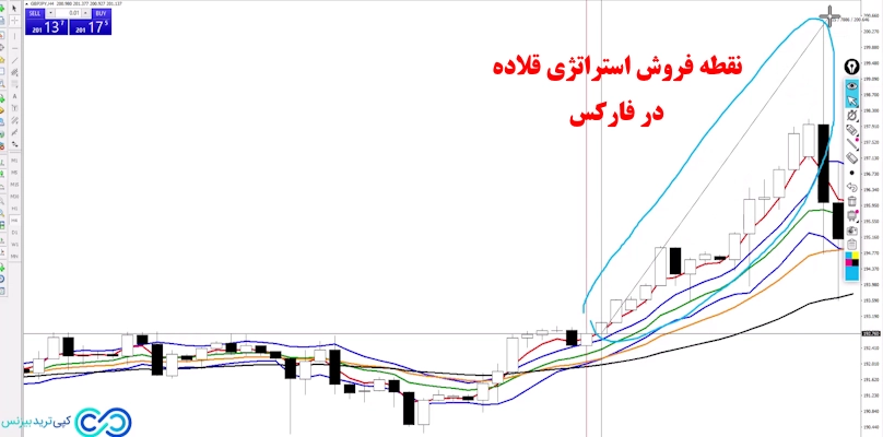 استراتژی قلاده در فارکس