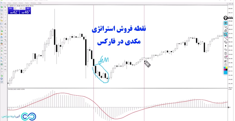 استراتژی مکدی در فارکس