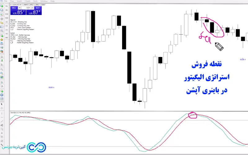 استراتژی الیگیتور در باینری آپشن