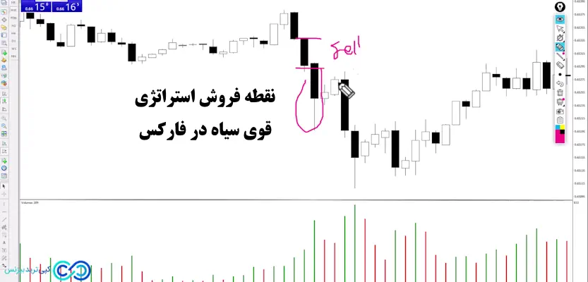 استراتژی قوی سیاه در فارکس