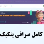 صرافی پنکیک سواپ برای ایرانیان💱ثبت نام در صرافی پنکیک سواپ (pancakeswap)