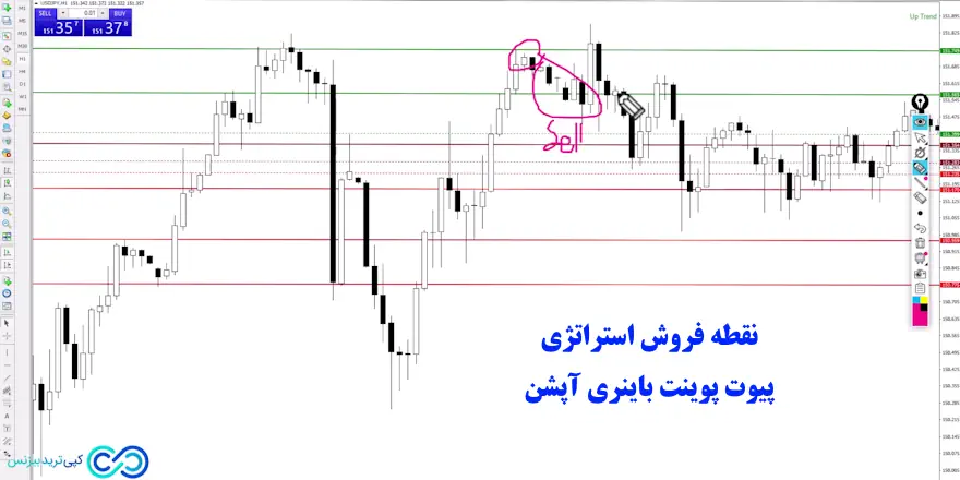 استراتژی پیوت پوینت باینری آپشن