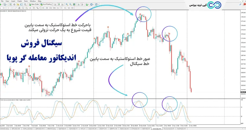 اندیکاتور معامله گر - اسیلاتور معامله گر - اسیلاتور dynamic trader