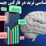 چگونه روانشناسی معامله گری در فارکس بر سودآوری تاثیرگذار است؟🔍درک احساسات در بازار فارکس با روانشناسی ترید!