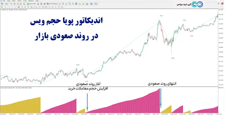 اندیکاتور پویا حجم ویس - اندیکاتور weis volume dynamics
