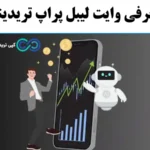وایت لیبل پراپ یا راه‌ اندازی مستقل؟🔍 مزایا و نحوه شروع کسب و کار با سرویس وایت لیبل پراپ تریدینگ!