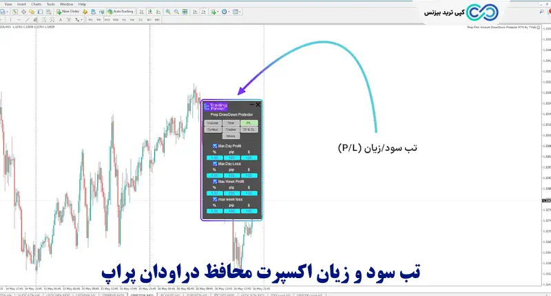 اکسپرت محافظ دراودان پراپ
