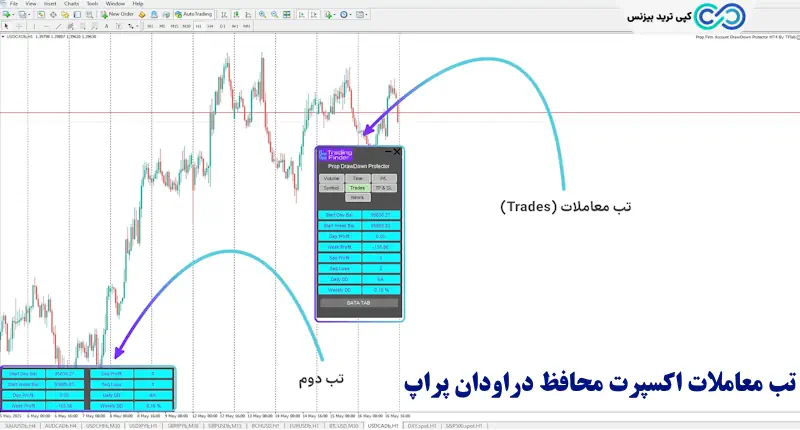 اکسپرت محافظ دراودان پراپ