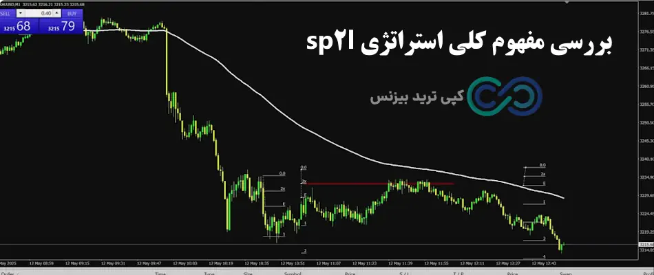 استراتژی sp2l پورصمدی - استراتژی sp2l - استراتژی sp2l چیست